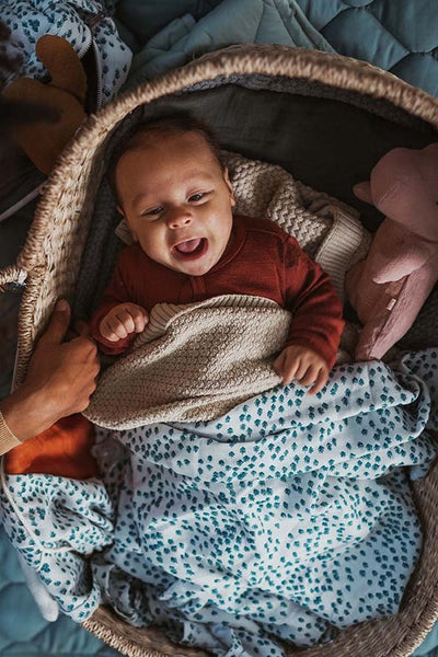 Swaddle Forest