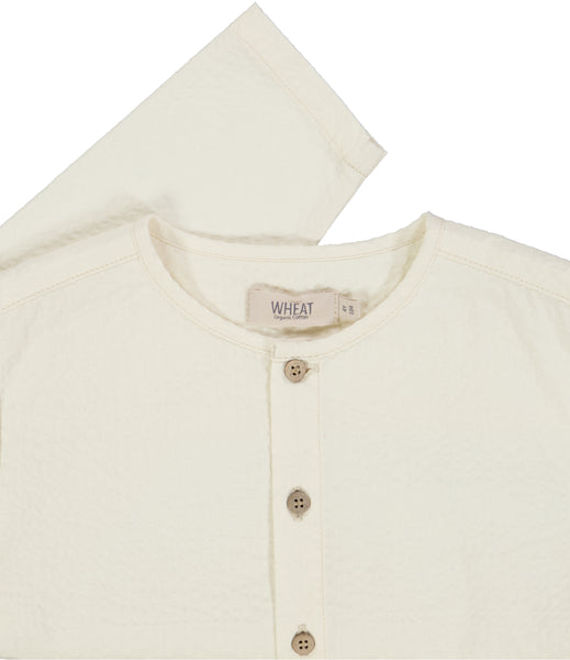 Shirt Shelby