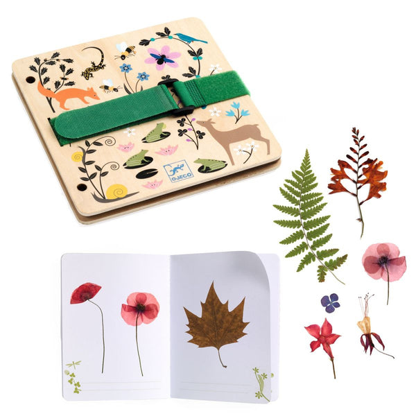 Pflanzenpresse & Herbarium